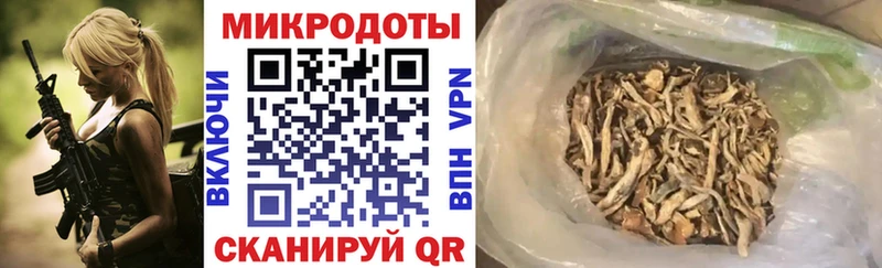 Псилоцибиновые грибы Magic Shrooms Купить закладки Дмитровск