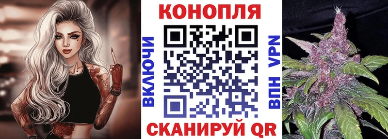 Каннабис сатива  Купить  Дмитровск 